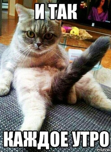 Kochan- My Photos photo 4602997