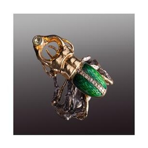 Silver ring deer beetle