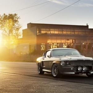 Mustang