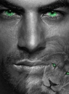 King_Leon My Photos photo 5234136