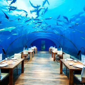 Romantic dinner
