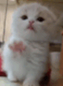 lucifer666rrr My Photos photo 11240731