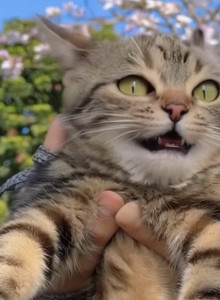 lucifer666rrr My Photos photo 13002241