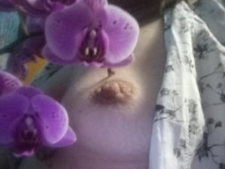 МОЯ ПРЕЛЕСТЬ