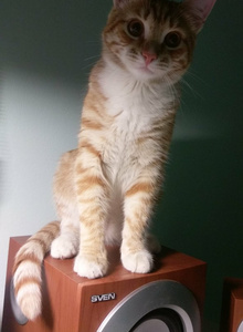 DrWooD 0,0 photo 4542717