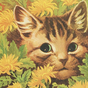 I dream of living a happy life!