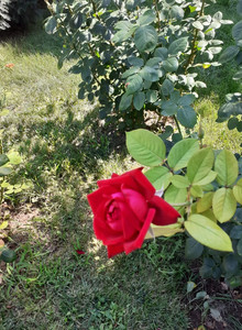 karservas My Photos photo 13914874