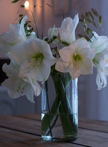 karservas My Photos photo 14525855