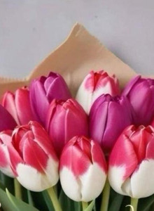 karservas My Photos photo 14673526