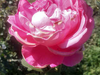 My Photos