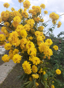 karservas My Photos photo 15331165