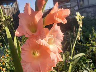 My Photos