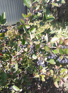 karservas My Photos photo 15381353
