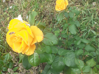 My Photos