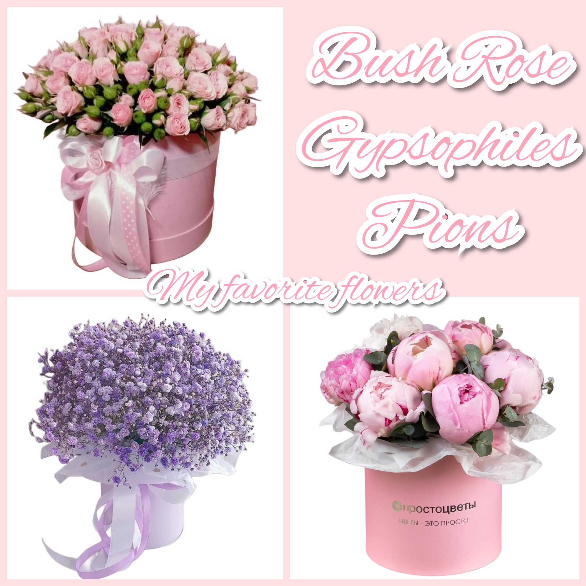 _Kisskiss_ Favorite flowers:🌸 image: 1