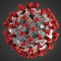Corona_Virus