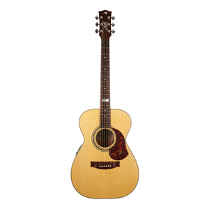 The guitar of my dreams