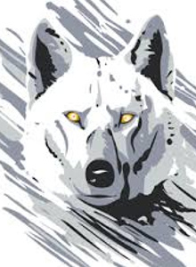 andres-1-1 My Photos photo 5475972