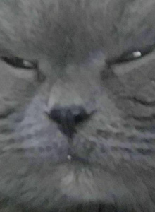 GandalGaff My Photos photo 4795468