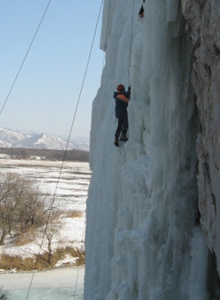 uho_trampa 1 photo 4684820