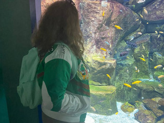 ..........................................