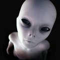 sexalien