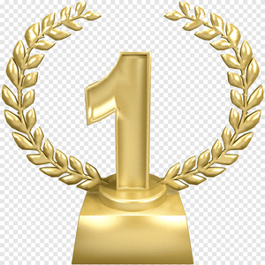 win top 1 in the competition