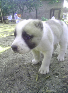 McJean My Photos photo 5103045