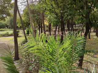 Greece, Athens  vacay