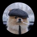 EHoTuk_LLIaJlyHuLLIka