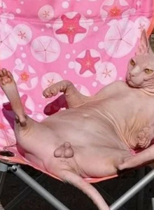 Ahmed2365 My Photos photo 5783837