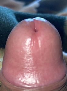 Doroshkin My Photos photo 10061572