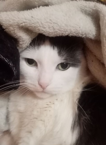 KonradKerz 123 photo 10426171