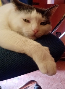 KonradKerz 123 photo 11066480