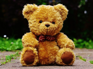 My Photos