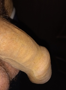 Sld My Photos photo 8297481