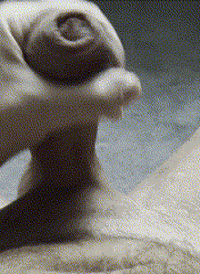 lambo-1 Me again. photo 14881630