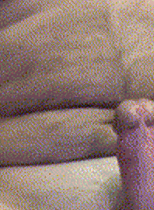 lambo-1 Me again. photo 14881631