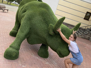 Take the bull by the horns