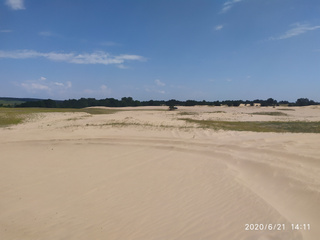 Desert