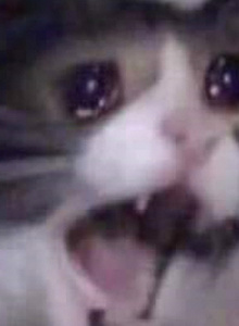 KnightMaxwell My Photos photo 6861536