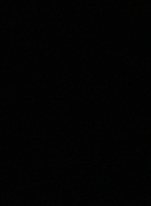Fotografie #5559683