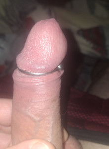 Voca40 My Photos photo 14273047