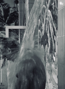 dima228921 My Photos photo 9532485