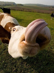 SexyPandaa My Photos photo 5212575