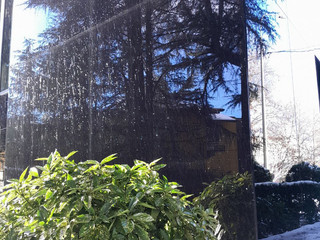 ˚˖𓍢ִ໋`🌿:✧˚.📷⋆𖧧