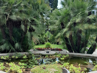 ⊹ ࣪ ˖ ꫂ ၴႅၴ ₊ ⊹