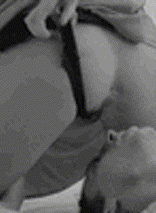 Alexsa69 My Photos photo 8654462