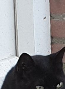 shyman1802 My Photos photo 5268393