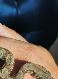 Den4ikseksi My Photos photo 7856041